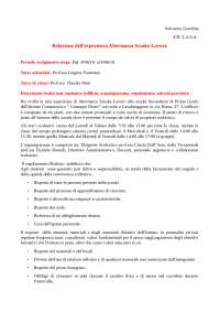Esempio di alternanza scuola lavoro - Docsity