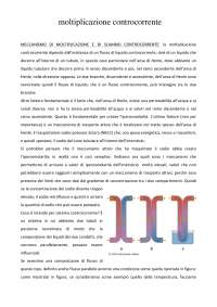 La moltiplicazione controcorrente