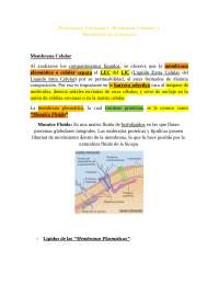 2a Presentacion (Echeverria) Fisiologia I - Membrana celular y mecanismo de transporte.docx