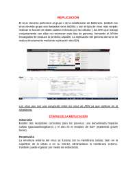 Virus vaccinia: replicacion