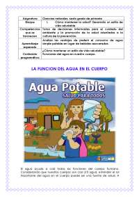 La función del agua en el cuerpo - Docsity