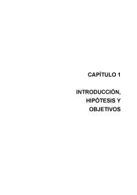 introducción, hipótesis y objetivos