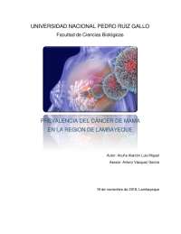cancer de mama mamografia