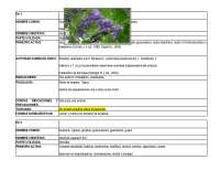 Plantas Medicinales: Un Repositorio de Información sobre Propiedades y Usos