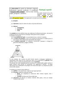 Malattie delle Piante: Tipologie, Cause e Meccanismi di Difesa - Prof. Roberti