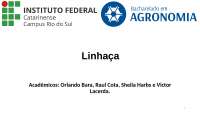 APRESENTAÇÃO SOBRE A CULTURA DA LINHAÇA