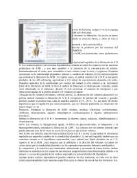 Hormona: Oxitocina y Vasopresina