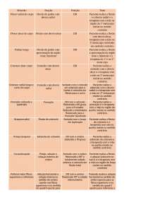 Tabela MTTA- Membros Superiores (MMSS): Testes Musculares