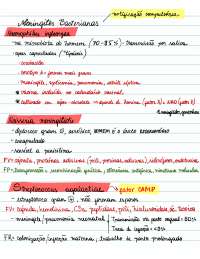 MENINGITES BACTERIANAS PRINCIPAIS CARACTERÍSTICAS