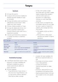 Resumo de Fungos e suas características