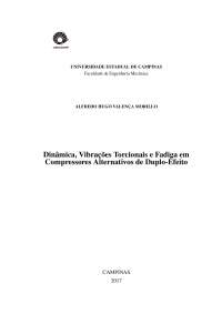 Dinâmica, Vibrações Torcionais e Fadiga em Compressores Alternativos de Duplo-Efeito