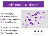 Leishmaniose visceral.ppt