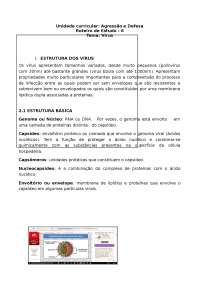 Roteiro de virus - agressao e defesa