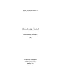 Relatório de Estágio Profissional: Guia de Estruturação para Estudantes de Informática
