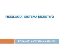 Sistema digestório de insetos