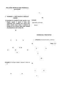Geometria Plana Walter tadeu