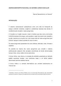 Abordagem morfofuncional do sistema cardiovascular