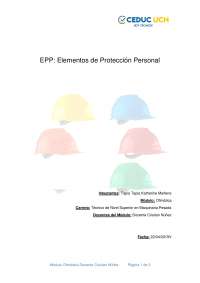 Elementos de Protección Personal en Ofimática: Tipos, Cotizaciones y Colores