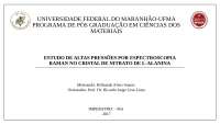 ESTUDO DE ALTAS PRESSÕES POR ESPECTROSCOPIA RAMAN NO CRISTAL DE NITRATO DE L-ALANINA