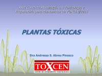 Plantas toxicas do Brasil
