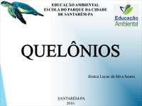 Quelônios-Jabuti, tartaruga, cágado.