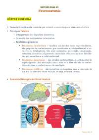 Resumo sobre córtex cerebral