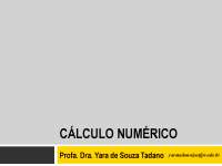 Calculo Numérico sistemas lineares