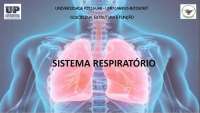 Respiração sistema respiratório universidade