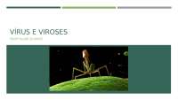 Slides - Vírus e Viroses - Brasil - Ensino Medio