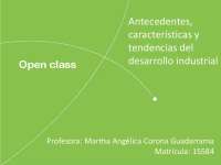 Antecedentes, caracteriticas y tendencias del desarrollo industrial