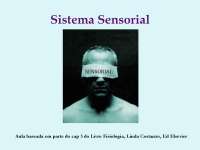 Fisiologia II , Sistema Nervoso