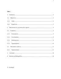 Movimento de Crescimento de Vegetais, Notas de Estudo de Biologia