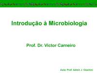 Introdução à Microbiologia: História, Descobertas e Classificação
