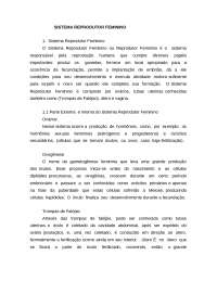 Anatomia humana sistema Reprodutor