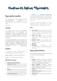 Anatomia dos Sistema Reprodutivos