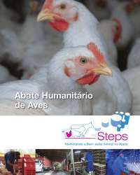 Abate humanitário de frangos de corte