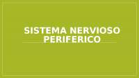 Sistema nervioso periférico-ppt