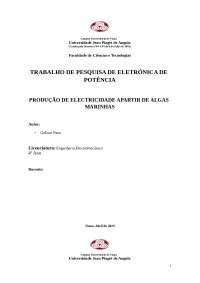 Produção de Energia eléctrica através de algas marinhas