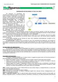 MEDRESUMO CICLO DA URÉIA