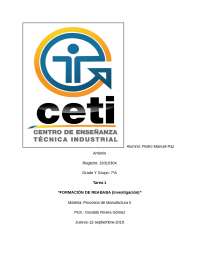 FORMACION DE REBABA