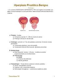 Hiperplasia Prostática Benigna: Uma Abordagem Completa para Estudantes de Urologia
