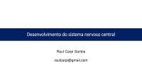 Desenvolvimento do Sistema Nervoso Central: Neurulação, Padronização e Citodiferenciação