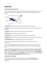 ORGANIZZAZIONE E GESTIONE DELLE IMPRESE DI TRASPORTO