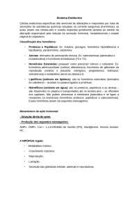 Sistema Endócrino - Anatomofisiologia