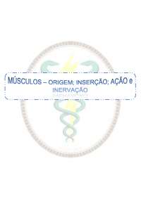 Anatomia Músculo Esqueletico