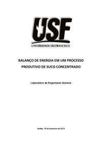 Balanço de Energia em um Processo Produtivo de Suco Concentrado: Um Estudo de Caso