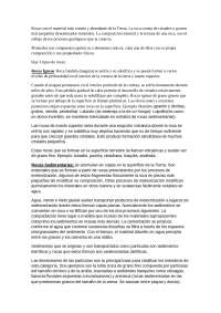 Tipos de rocas y sus caracteristicas