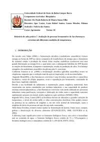 Avaliação da Fermentação de Saccharomyces cerevisiae em Diferentes Temperaturas