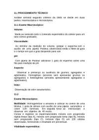 TECNICA ESPERMOGRAMA