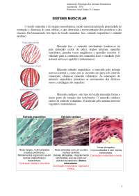 Fisiologia do Sistema Muscular